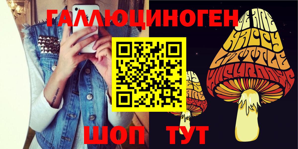 Красноярск  Псилоцибиновые грибы мухоморы  Вход с VPN 